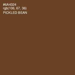 #6A4324 - Pickled Bean Color Image
